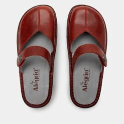 Shoes Kamila Garnet Shoe -ALEGRIA Sales Store KAM 6107 S4
