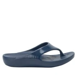 Ode Navy Gloss Sandal -ALEGRIA Sales Store ODE 7448 S2
