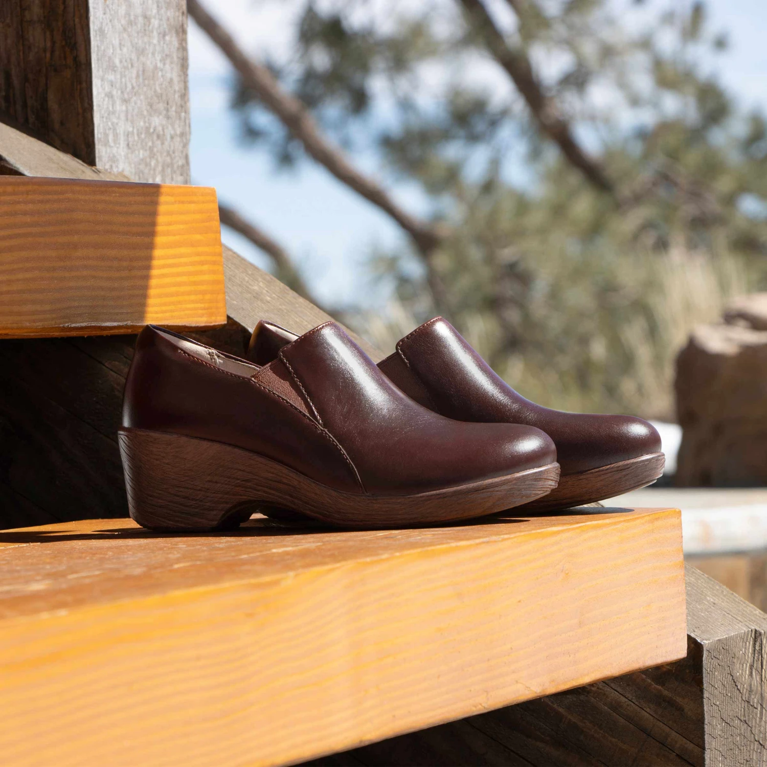 Shoes Skylar Mahogany Shoe 2 Shoes Skylar Mahogany Shoe - Image 2